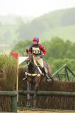 horse jumping 4